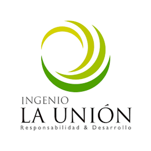 Agrupar 13